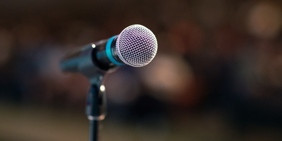 mikrofon /microphone